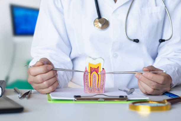 Best Emergency Root Canal Treatment in Orange City, FL